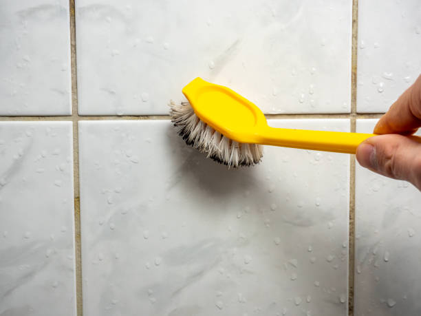 Best Best Mold Removal Companies  in Norwood, OH